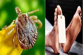 ସ୍କ୍ରବ୍ ଟାଇଫସରେ  ଚାଷୀ ମୃତ