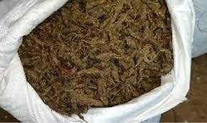 ଚାରା ବୋଝେଇ ଟ୍ରକରୁ  ଗଞ୍ଜେଇ ଜବତ