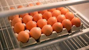 ଫ୍ରିଜ୍‌ରେ ଅଣ୍ଡା ରଖିବା ଉଚିତ୍ କି ନୁହେଁ?