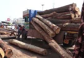 ବଡ଼ଦାଣ୍ଡରେ ପହଞ୍ଚିଲା ରଥକାଠ