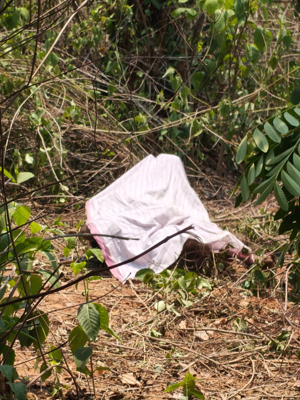 ହାତୀ ଆକ୍ରମଣରେ ଆଉ ଜଣେ ଚାଷୀ ମୃତ
