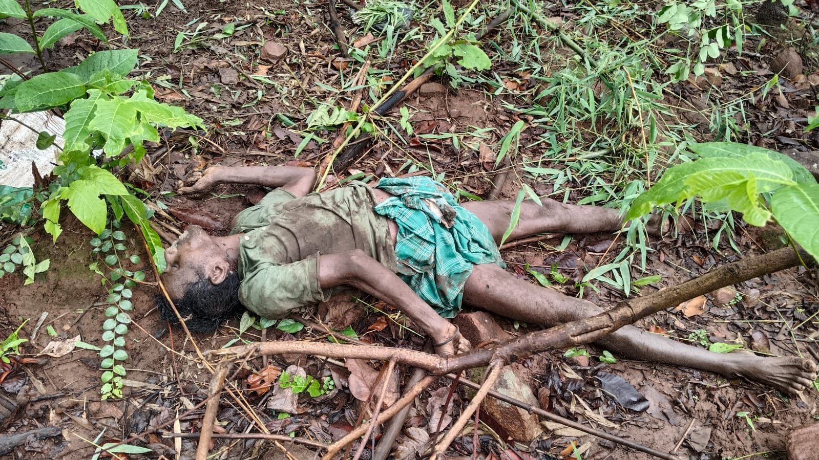 ହାତୀ ଆକ୍ରମଣରେ ଜଣେ ମୃତ