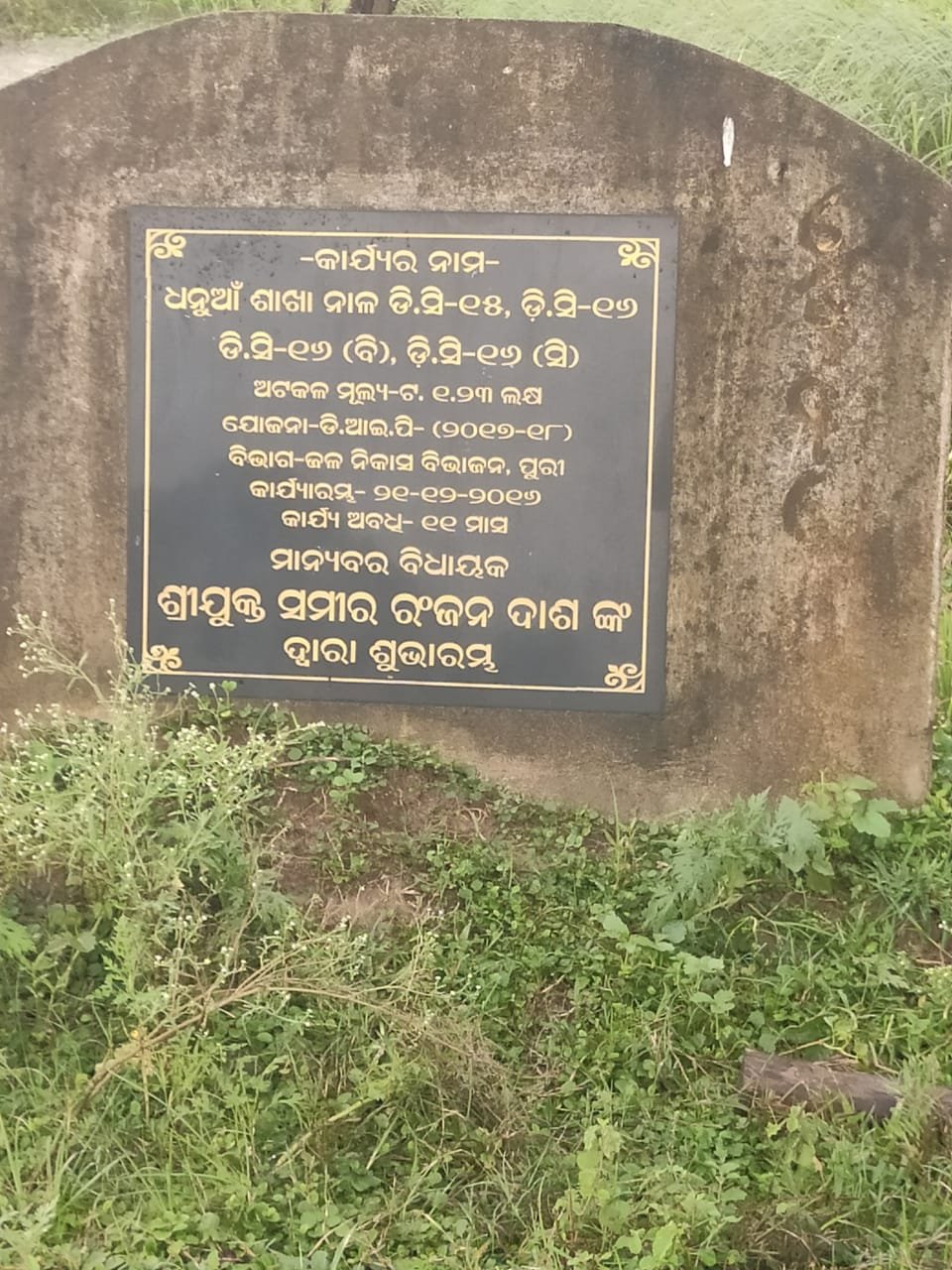 ଧନୁଆ ଏବଂ ମୁଗେଇ ନଦୀର ଉପନାଳରେ  ଘଞ୍ଚ ଜଙ୍ଗଲ:  ବର୍ଷା ଜଳ ନିଷ୍କାସନ ବ୍ୟାହତ