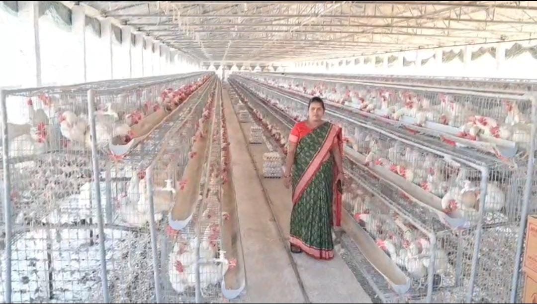 ଅଣ୍ଡା ଫାର୍ମ କରି ସ୍ବାବଲମ୍ବୀ ଆରତୀ