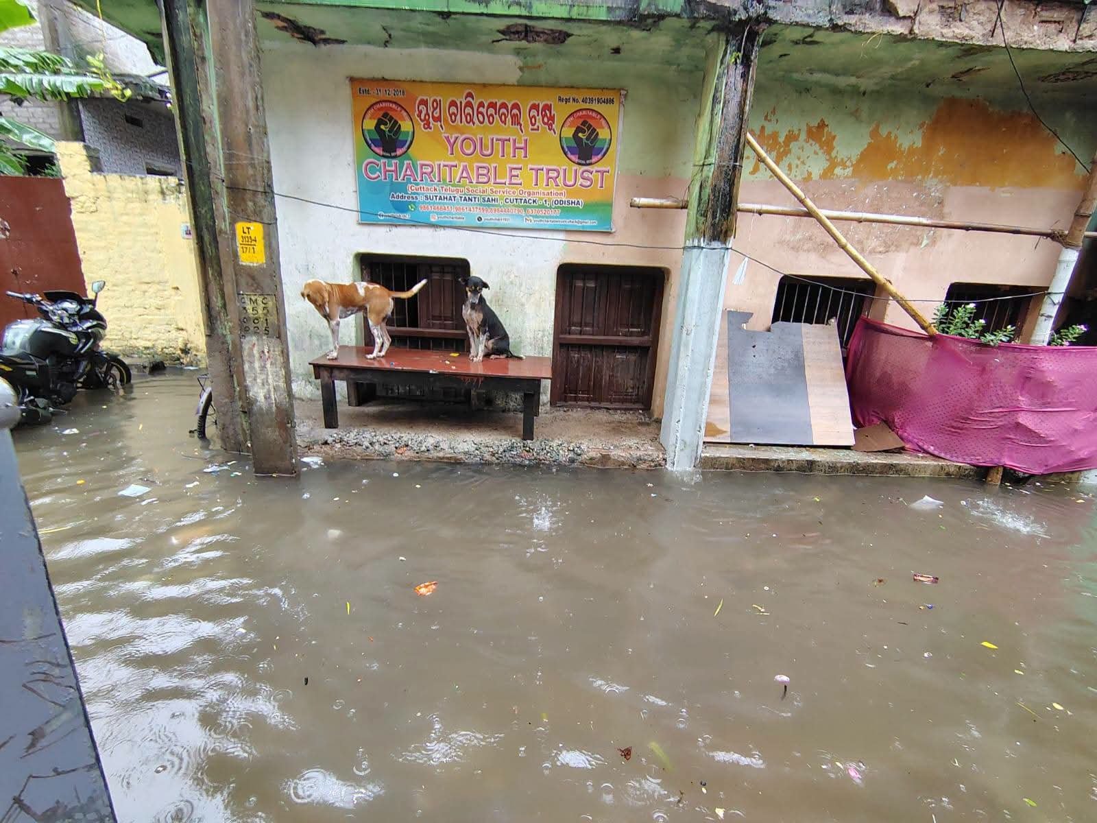 ଲଗାଣ ବର୍ଷାରେ ବେହାଲ କଟକ