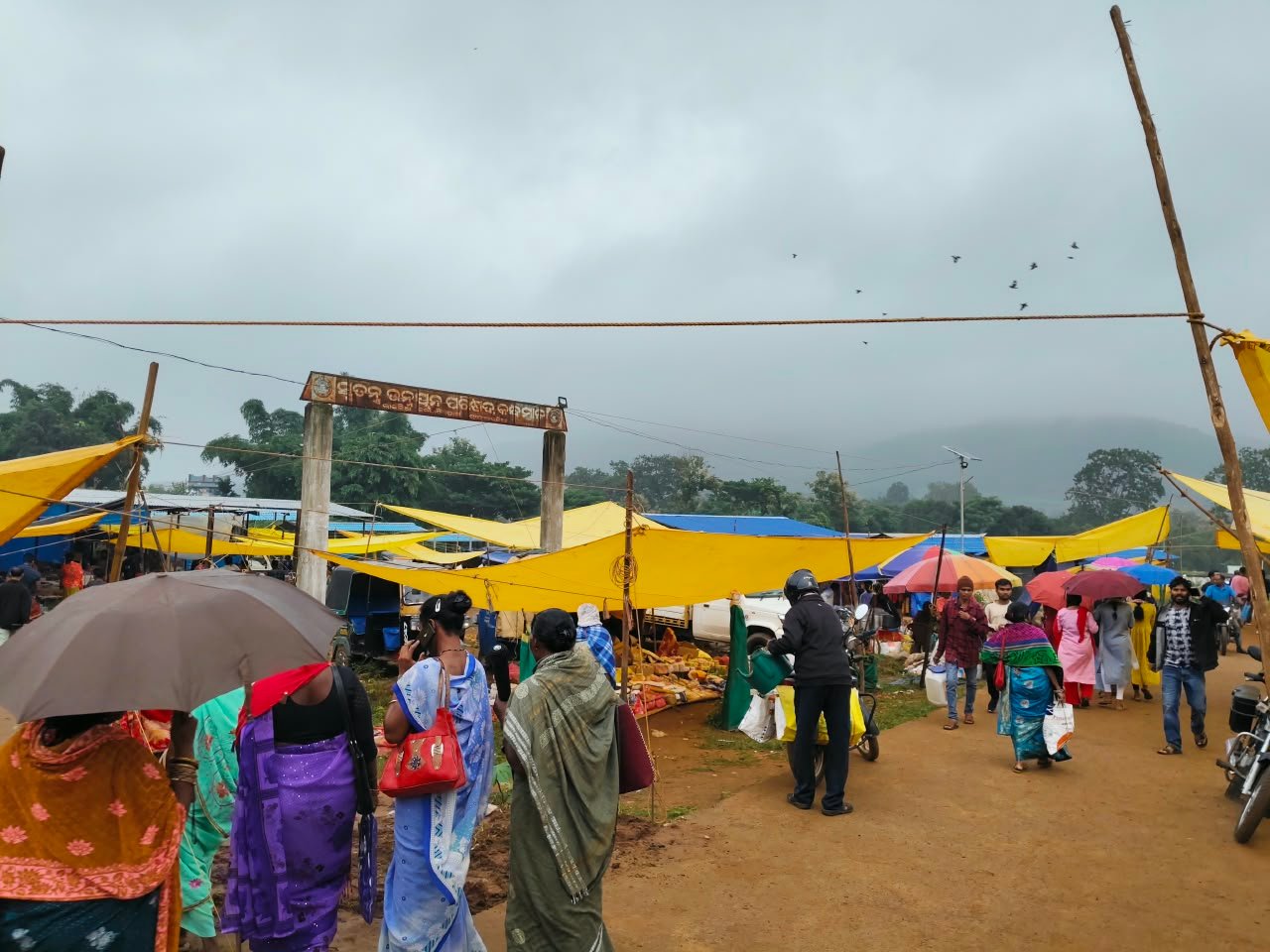 ଲଘୁଚାପଜନିତ ବର୍ଷାରେ ରାଇକିଆ ବେହାଲ