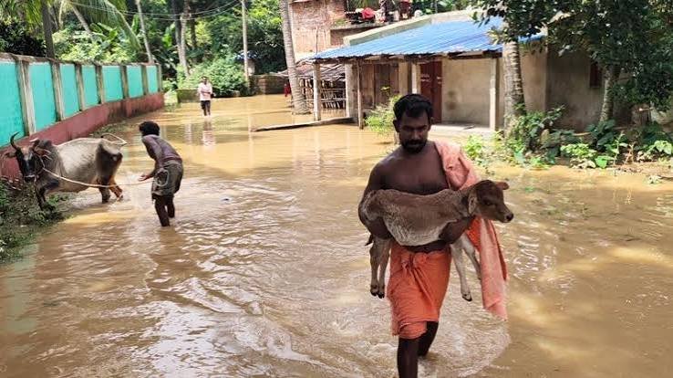 ଧୀରେ ଧୀରେ ବନ୍ୟା ସ୍ଥିତିରେ ଆସୁଛି ସୁଧାର