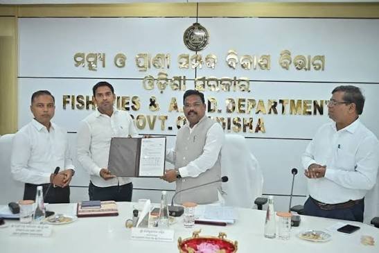 ବ୍ୟବସାୟିକ ଅଣ୍ଡାଦିଆ କୁକୁଡ଼ାପାଳନ ଯୋଜନାର ଶୁଭାରମ୍ଭ
